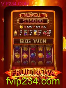 Tudo sobre FruitNovaSuper40: Um Guia Completo