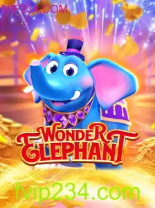 Descubra o Fascinante Universo de WonderElephant: Regras e Destaques